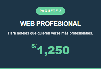 Paquete Web Profesional S/1,250